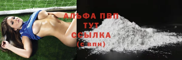 прущие грибы Абдулино