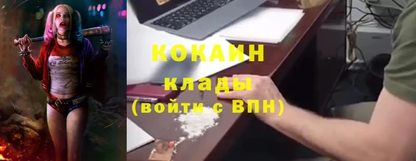 прущие грибы Абдулино