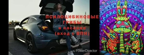 прущие грибы Абдулино